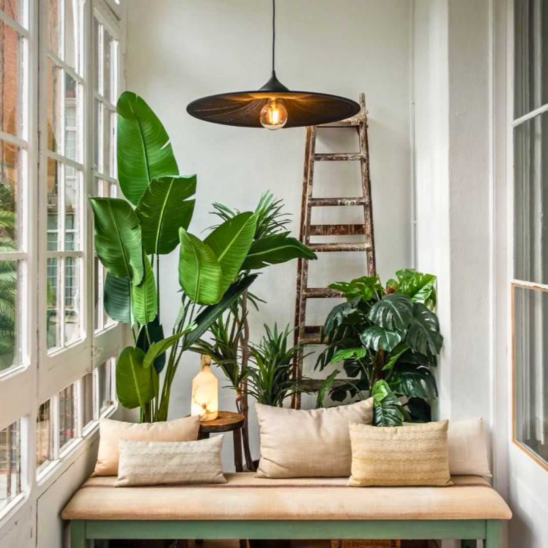 showroom avec des luminaires design à La Réunion